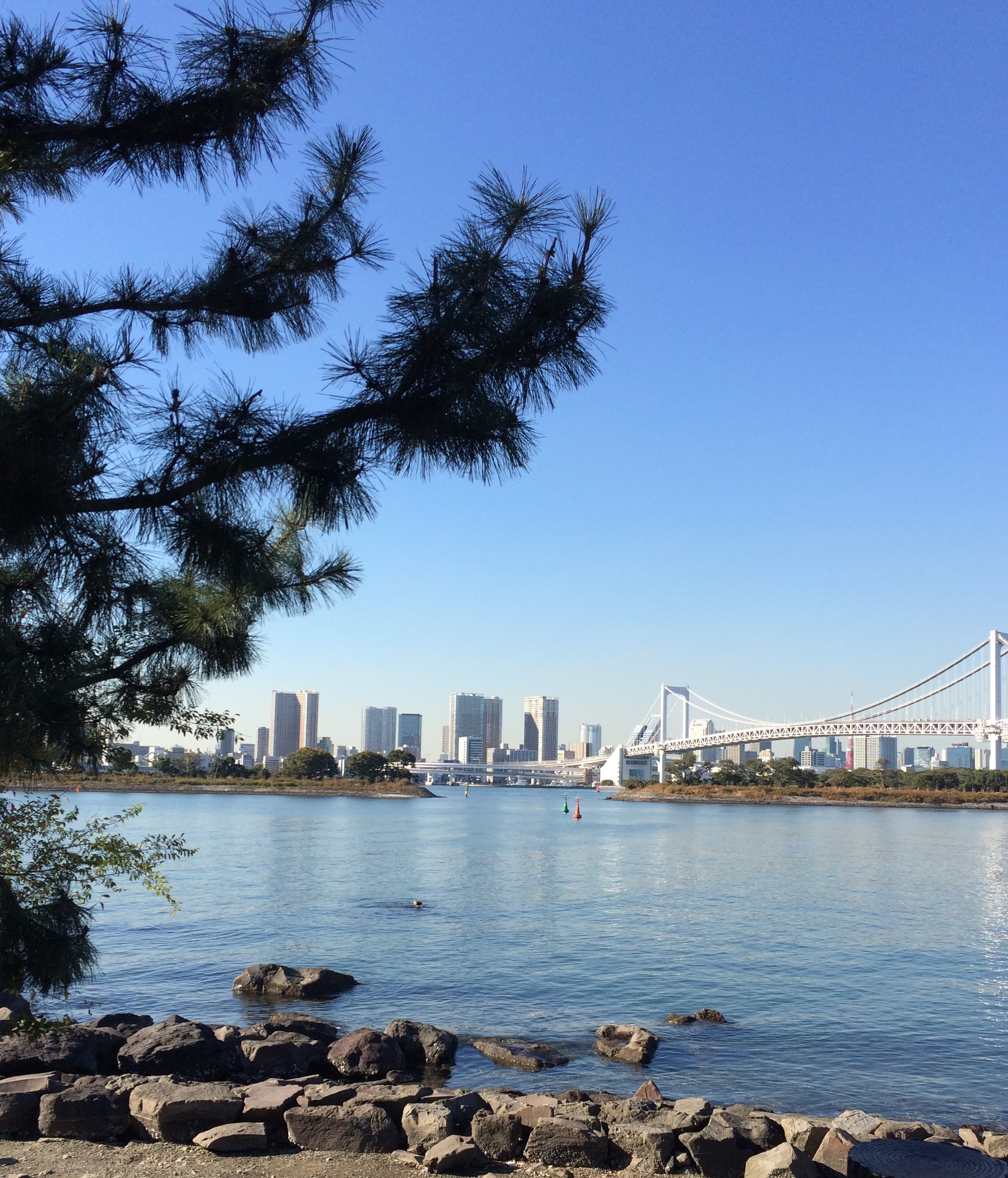 生と死の同居ーうちのおじいさんが亡くなる時はどのようになっていくのですか お迎えの日を学ぶ